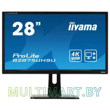 Монитор Iiyama ProLite B2875UHSU-B1